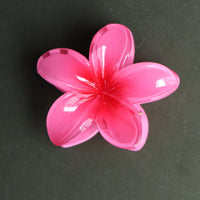 Frangipani Hawaii Hair Clip Pink