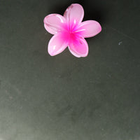 Frangipani Hawaii Hair Clip Fuchsia pink