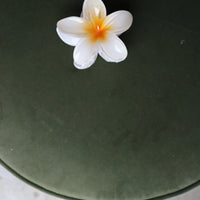 Frangipani Hawaii Hair Clip White