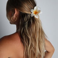 Frangipani Hawaii Hair Clip White