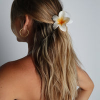 Frangipani Hawaii Hair Clip White